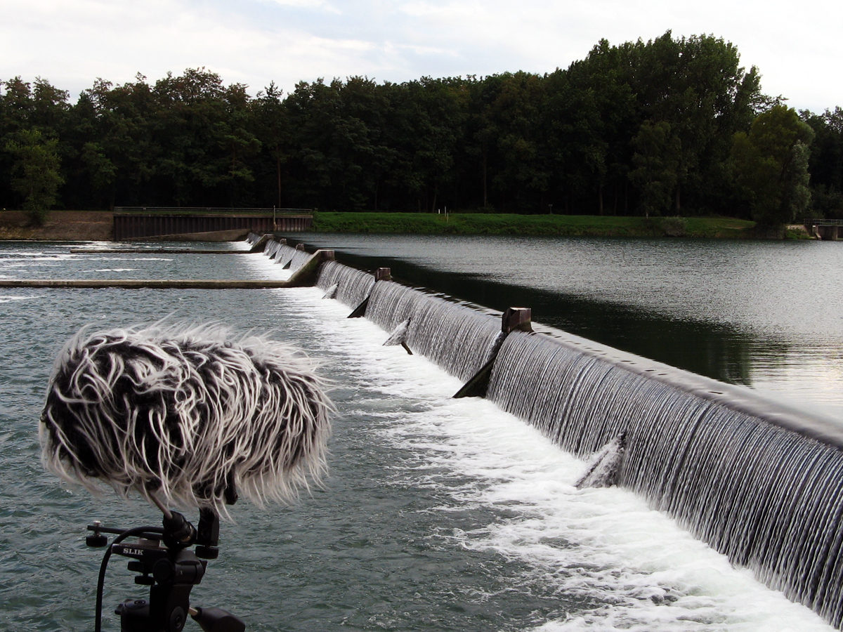 42_Rhein_rhein_strom_Riek_Siefert_Foto by Thomas Siefert